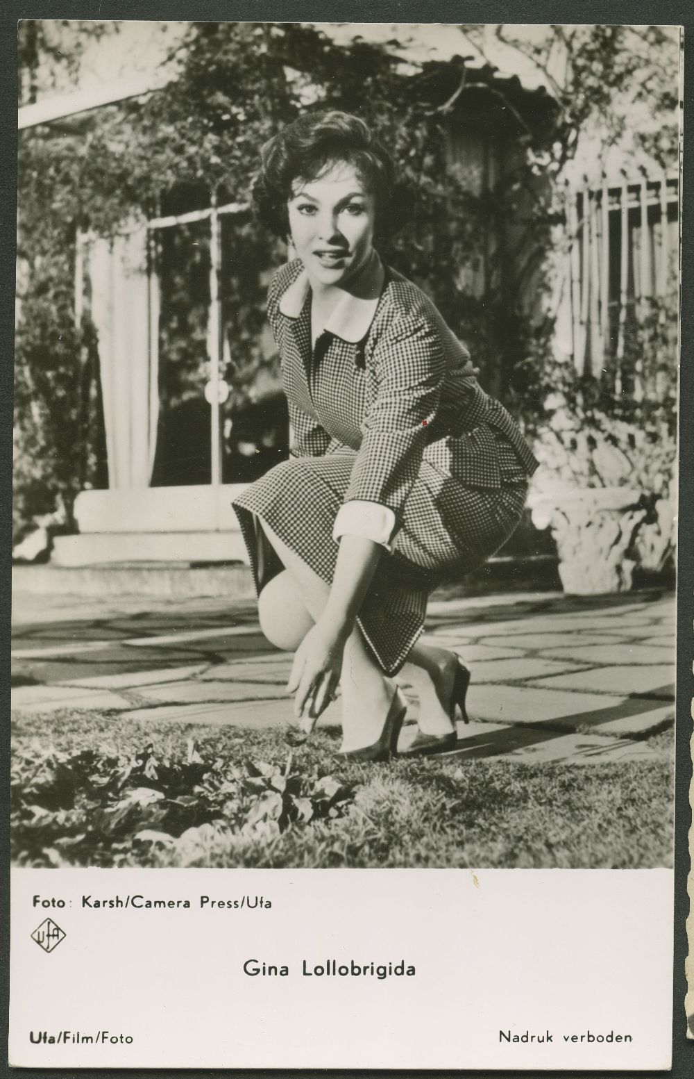 (image for) Gina Lollobrigida #0159